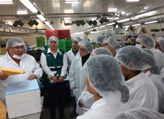 Senasa autorizará a profesionales para toma y envío de muestras de alimentos agropecuarios