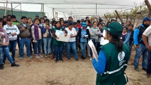 Senasa autorizará a profesionales para toma y envío de muestras de alimentos agropecuarios1