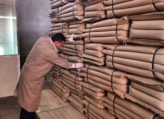 Tacna: Senasa certifica 18 toneladas de orégano para su exportación a Brasil