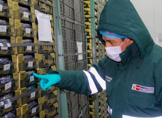 Productores de Áncash exportan arándanos a China por primera vez