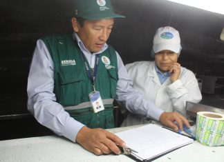 Cebolla arequipeña de calidad para el mercado internacional