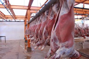 Senasa inspecciona condiciones sanitarias de faenado en mataderos