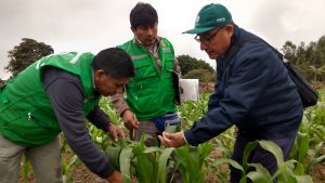 Senasa instruye a municipios para mejorar sanidad agraria