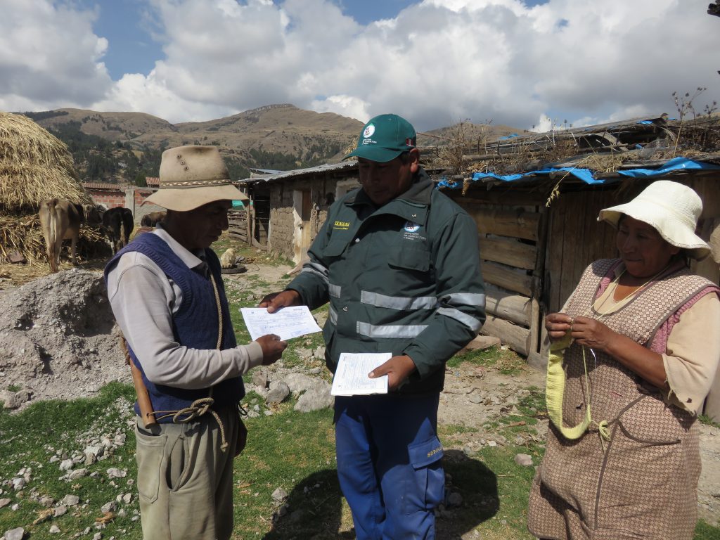 Senasa vacunó a más de 59 mil animales contra carbunco sintomático en Cusco 2