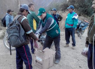 Senasa y productores definen actividades de control integrado de roedores en Áncash