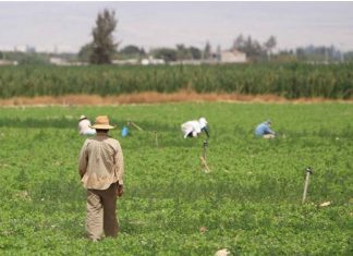 Agraria.pe: Proyecto Majes Siguas II presenta avance de 10%