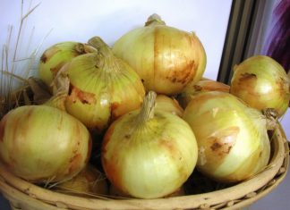 Adex: Cebolla peruana logra reingreso a mercado de Colombia