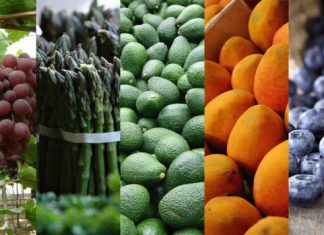 Agap: Exportaciones de frutas frescas crecieron 20.3% en el primer semestre del año