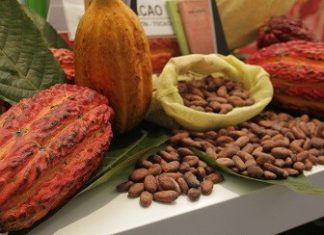 Minagri: En septiembre se aprobaría el reglamento técnico del chocolate