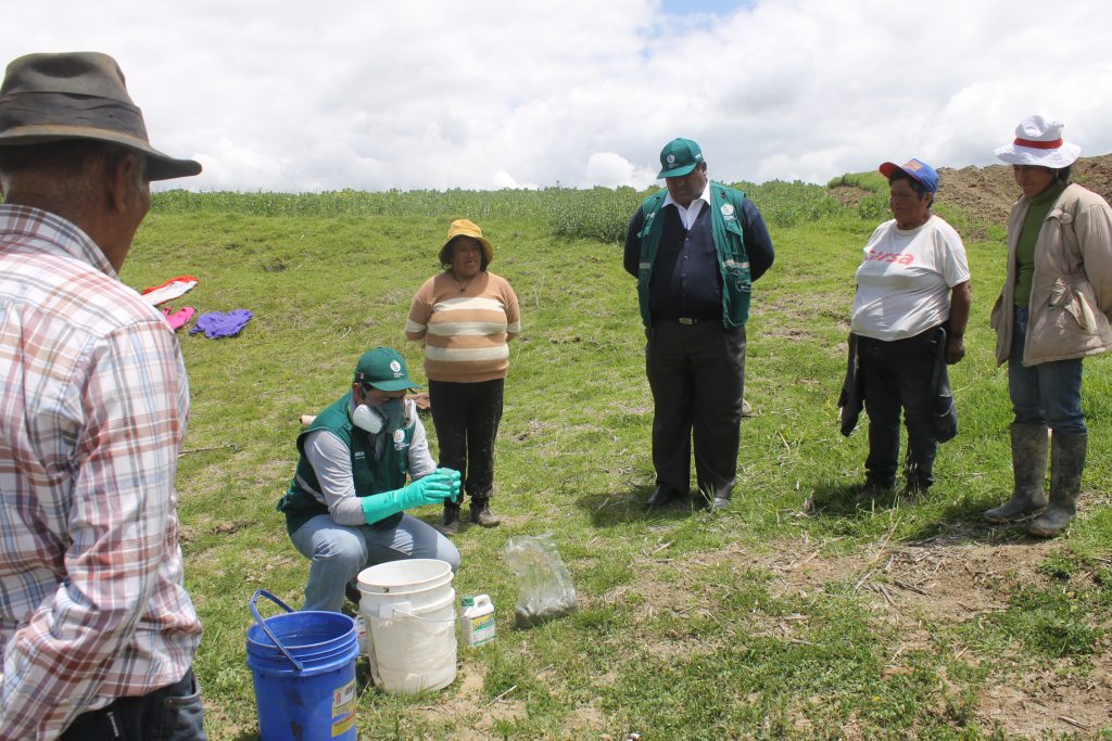 Junín: Senasa promueve el uso de controladores biológicos para contrarrestar plagas en cultivos de importancia económica 