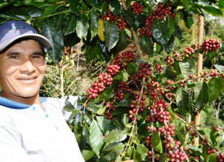 Expreso – Aroma a café: cultura y emprendimiento