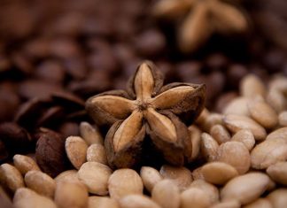 Andina: Región San Martín promueve la investigación sobre el sacha inchi