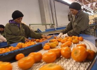 El Comercio: Grupo San Miguel compra Agrícola Hoja Redonda por US$64 millones