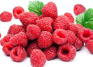 Sierra y Selva Exportadora: Sierra piurana apta para el cultivo de la frambuesa