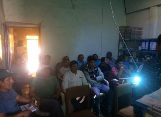 Servidores CAS intercambian conocimiento sobre procedimientos en sanidad agraria e inocuidad del SENASA