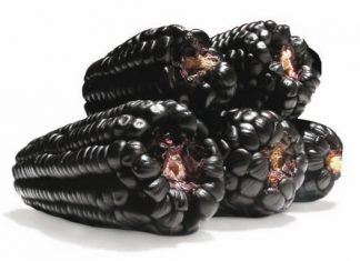 Agraria.pe: Perú exportó más de US$ 645 mil de maíz morado