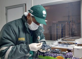 MINAGRI continúa con su plan de acceso de productos vegetales al mercado internacional