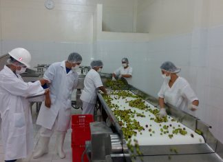 Ucayali: Auditoría a establecimiento de procesamiento primario de camu camu