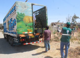 Senasa: Cuarentena fitosanitaria en mercados de Arequipa