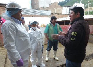 Senasa: Inspección inopinada al matadero municipal de Andahuaylas