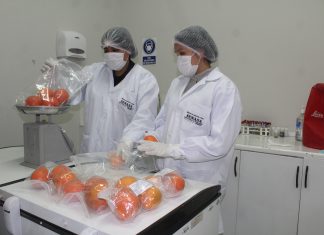 Arequipa: Monitoreo de residuos químicos en alimentos agropecuarios