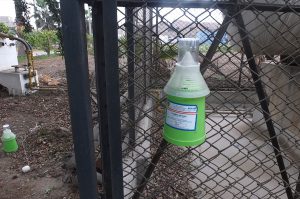 Senasa - Monitoreo de trampas para detección de plagas exóticas