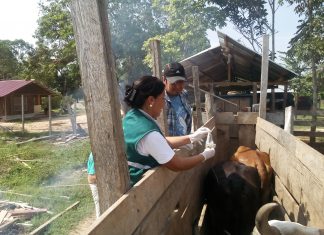 Ucayali: Orientación técnica a representantes municipales para la toma de muestras