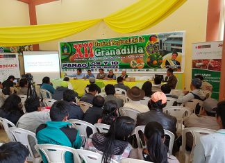 XII Festival de la Granadilla en Huánuco