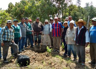 Ica: Senasa y empresas privadas unen esfuerzos en beneficio de productores de Lujaraja