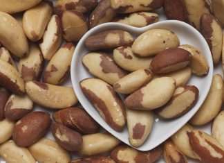 ADEX: Productos del sector agroindustrial incrementan en partidas exportadas durante los últimos años