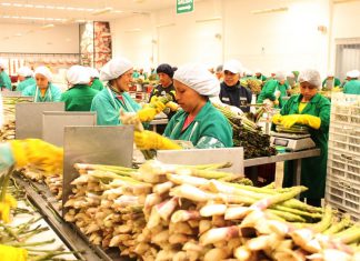 Andina – Perú: Se crearon 295,000 empleos en el trimestre mayo-junio-julio de 2017