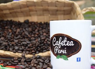 MINAGRI: Agro crecerá entre 2,8% y 3% este año y agroexportación será locomotora del campo