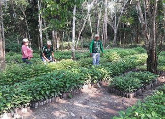 Gestión: MINAGRI alista licitación para nuevas obras de reconstrucción