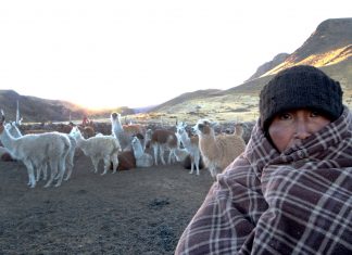 Andina: Senamhi prevé nuevo descenso de la temperatura en la sierra sur desde hoy