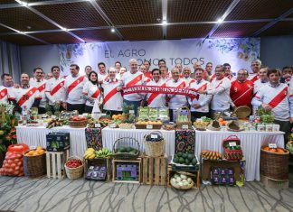 Gobierno propone medidas para impulsar sector forestal y agropexportación