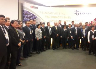 Sanidad vegetal es fundamental para el desarrollo agroexportador