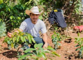 Gestión: El desarrollo campesino es clave para acabar con el hambre en Latinoamérica