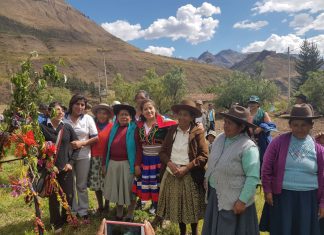 Andina: MINAGRI instalará un sistema de riego tecnificado en Acomayo