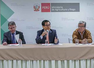 MINAGRI: Sector público y privado acuerdan priorizar nuevos productos agrícolas para aumentar agroexportaciones