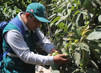 Revista Exportar: Sanidad y Comercio online