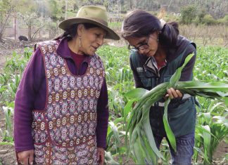 SENASA celebra 25 años de vida institucional