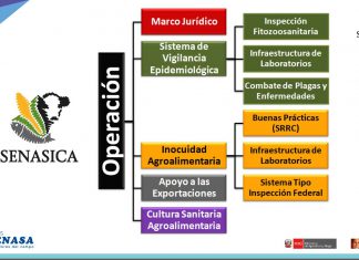 25 Años SENASA: Igor Francisco Romero – México