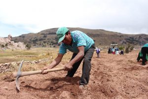 Senasa - Escuela de Campo de Agricultores