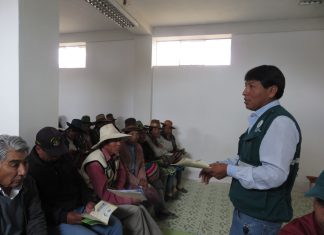 Cusco: Senasa fomenta buenas prácticas de ordeño en productores lácteos
