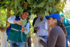 Senasa inicia formación integral de evaluadores de plagas en Chasquitambo