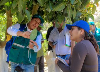Senasa inicia formación integral de evaluadores de plagas en Chasquitambo