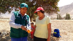 Senasa - moscas de la fruta