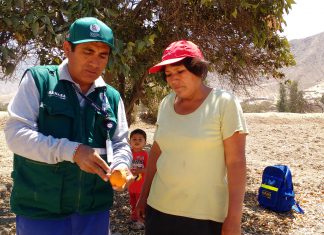 25 Años SENASA: Agricultura familiar se levanta con el control de la plaga moscas de la fruta