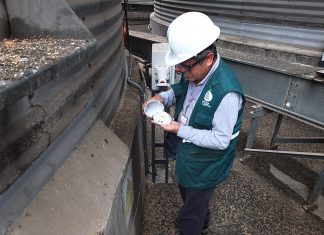Lima: Senasa realiza monitoreo de plaga cuarentenaria en almacenes de granos
