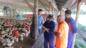 Senasa renovó licencia sanitaria de apertura y funcionamiento a granja avícola en Amazonas